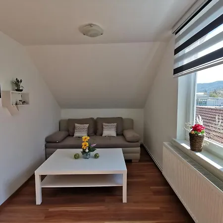 Amys Ferienwohnungen Bad Harzburg Buitenkant foto